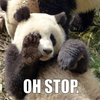 OH STOP PANDA OH STOP PANDA