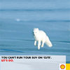 "Let's Go! Arctic" Hoax Campaign "Let's Go! Arctic" Hoax Campaign