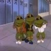 those turtles those turtles