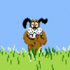 Duck Hunt Duck Hunt