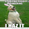 Food Engineer Dog Food Engineer Dog
