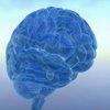 10% of Brain Myth 10% of Brain Myth