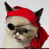 Sir Stuffington Sir Stuffington
