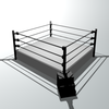Professional Wrestling Professional Wrestling