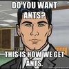 Do You Want Ants? Do You Want Ants?