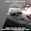 'Now tell me' Dog 'Now tell me' Dog