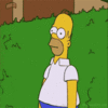 Homer Backs Into Things