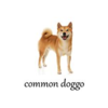 Doggo