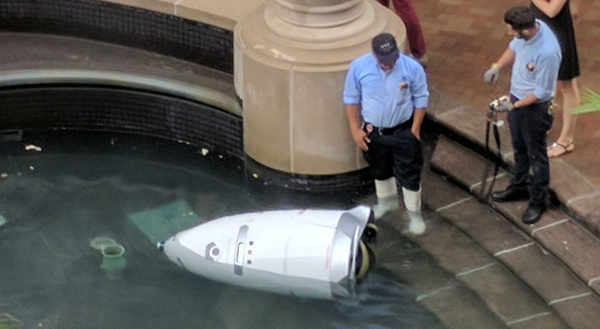 Steve the Robot Drowns In Fountain Steve the Robot Drowns In Fountain
