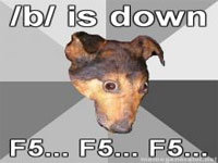 4chan Hit by Sustained DDoS