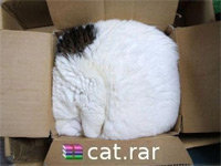 Rar
