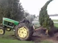 A13