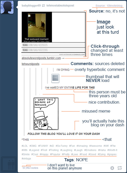 Anatomy of a Tumblr Post