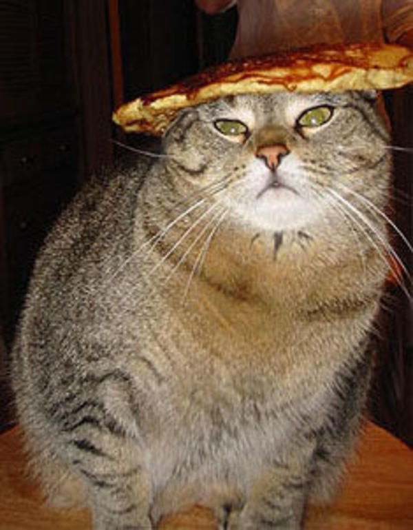 [Image 7449] Pancake Bunny Know Your Meme