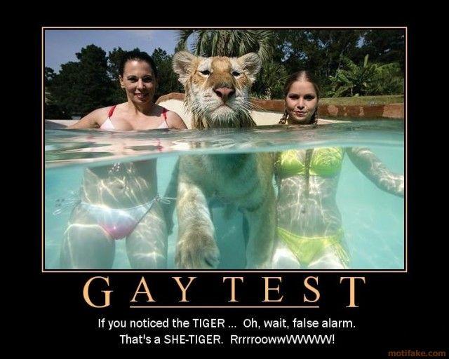 ultimate gay test ultimate gay test