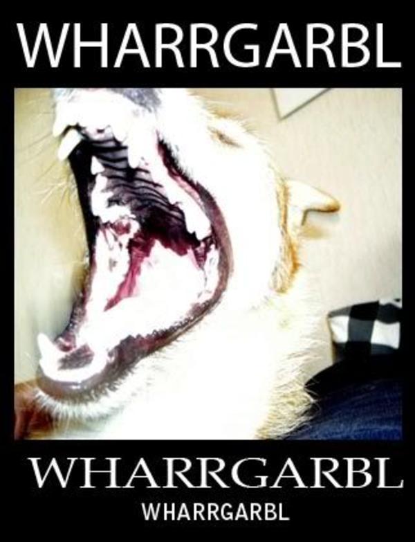 [Image 32398] WHARRGARBL / Sprinkler Dog Know Your Meme