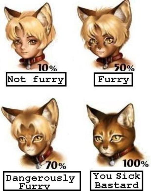 [Image 89863] Furry Scale Know Your Meme