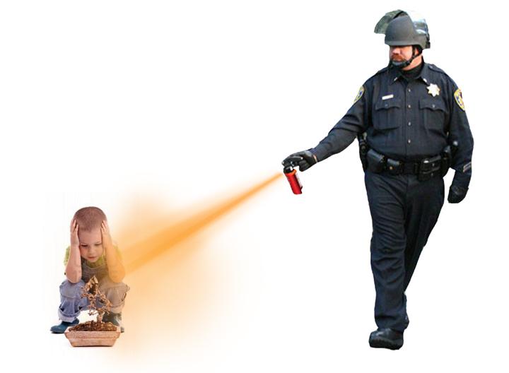 [Image 204605] Casually Pepper Spray Everything Cop Know Your Meme