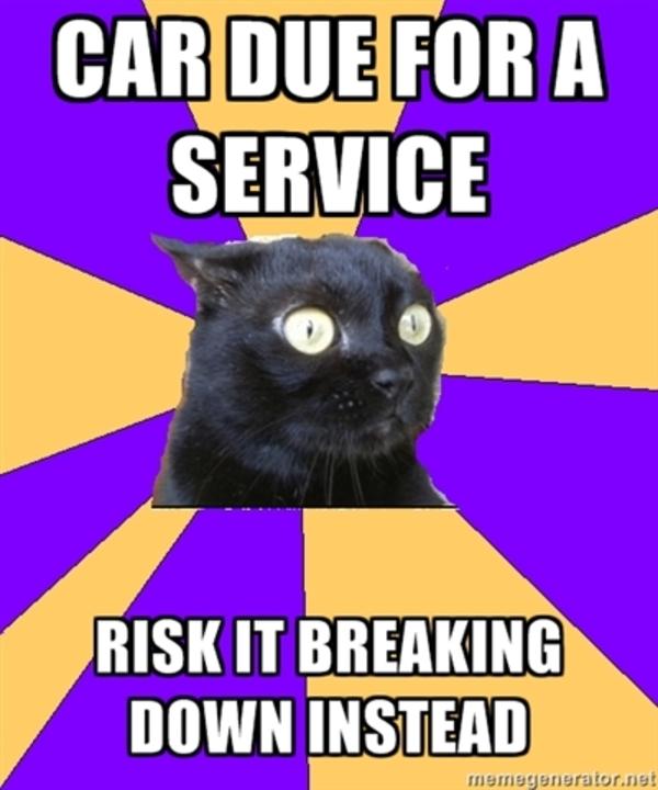  Image 215910 Anxiety Cat Know Your Meme