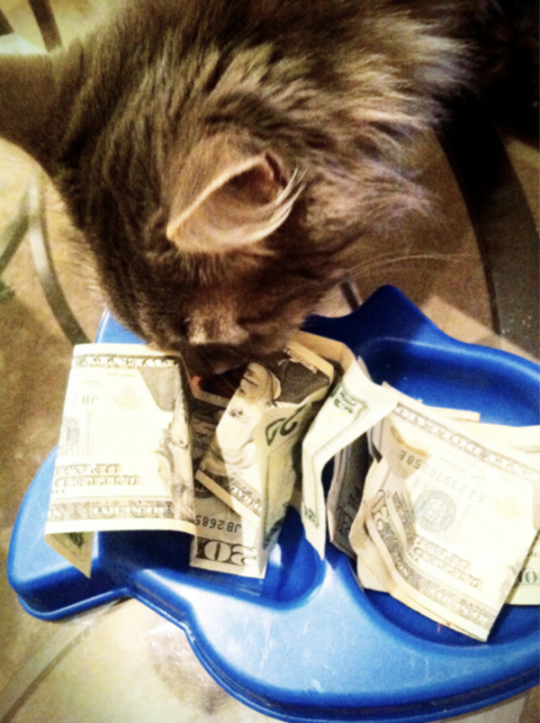 [Image 272193] Eating Money Know Your Meme