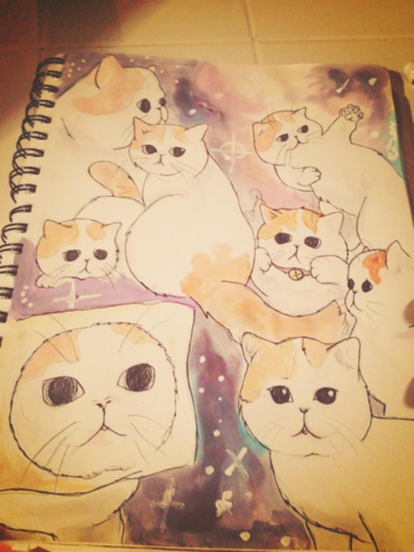 [Image 456262] Snoopy the Cat Know Your Meme