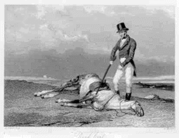 Image result for beating a dead horse
