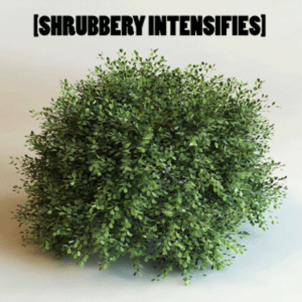 [SHRUBBERY INTENSIFIES] [Intensifies] Know Your Meme