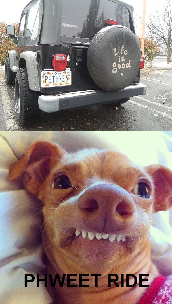 [Image 656348] Phteven / Tuna the Dog Know Your Meme