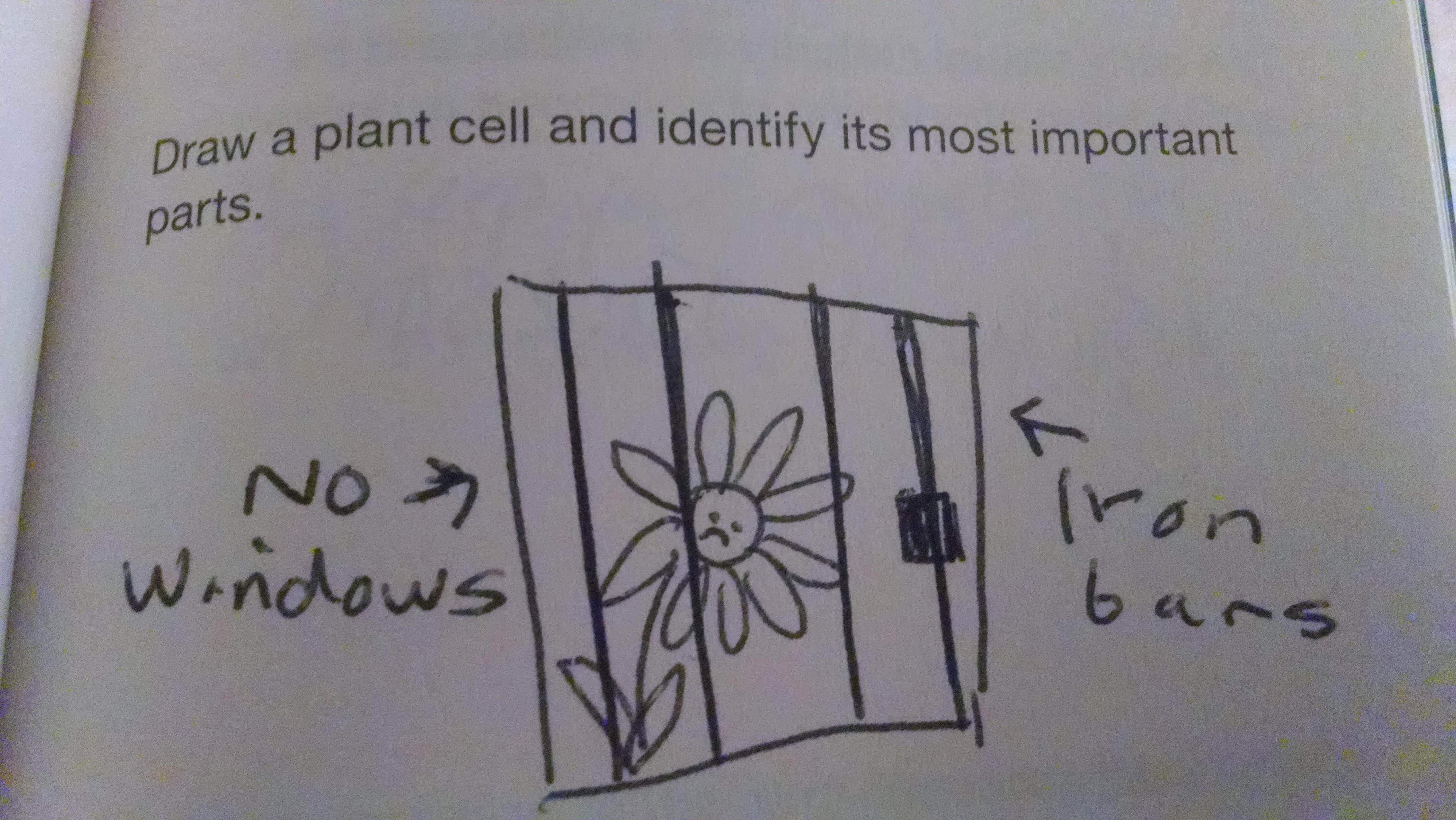 Related IN101_V7 Exams