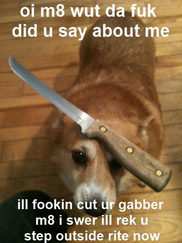 Image 843924 I Swear On Me Mum Know Your Meme