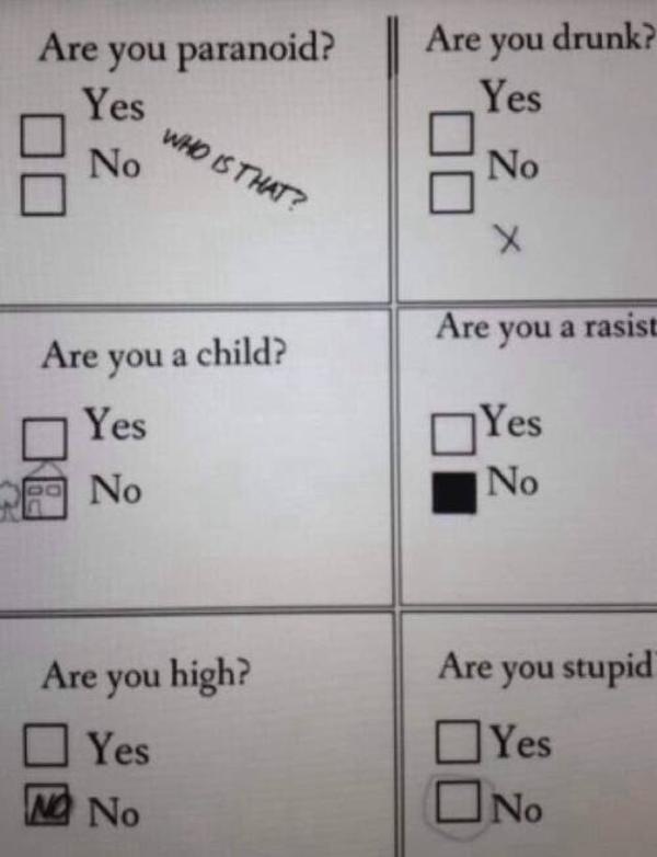 Perfectly normal answers. | Funny Exam Answers | Know Your Meme