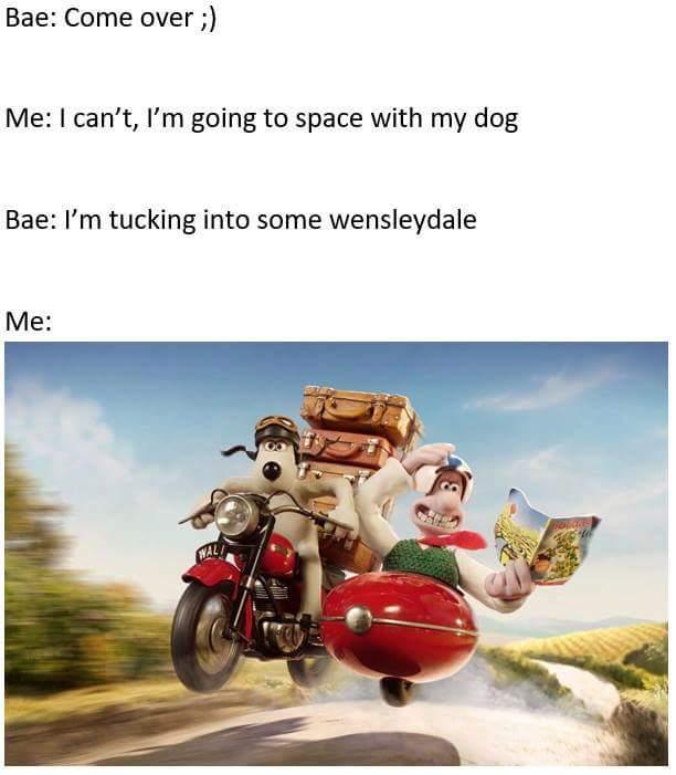 Come over I have cheese Wallace and Gromit / Wensleydale Know Your Meme