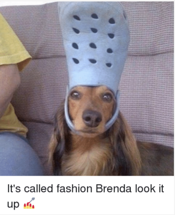 Image result for it's called fashion brenda look it up