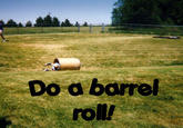 Do A Barrel Roll