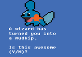 I Herd U Like Mudkips