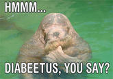 Diabeetus