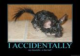 I Accidentally