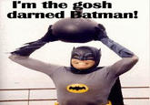 I'm The Goddamn Batman