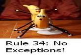 Rule 34