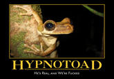 Hypnotoad
