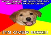 Advice Dog