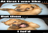 At First I Was Like...
