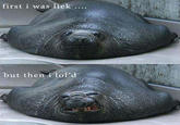 At First I Was Like...