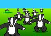 Badger Badger Badger