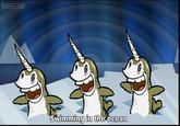Narwhals Narwhals