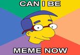 "Milhouse Is Not A Meme"