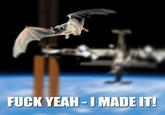 Space Bat