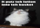 TEH