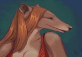 Furries