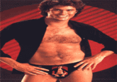 David Hasselhoff Drunk